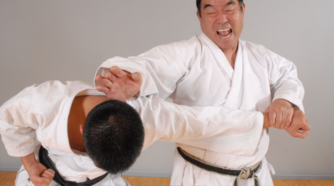 What Are the various Karate Styles?