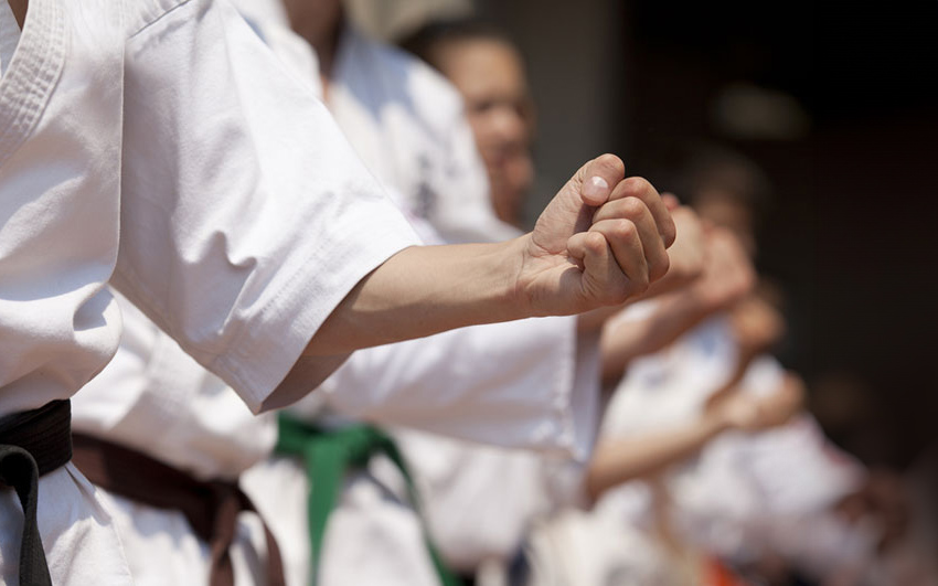 What Are the various Karate Styles?